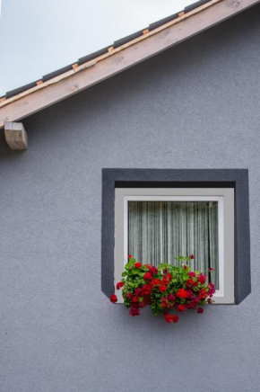 Orchidea Apartman